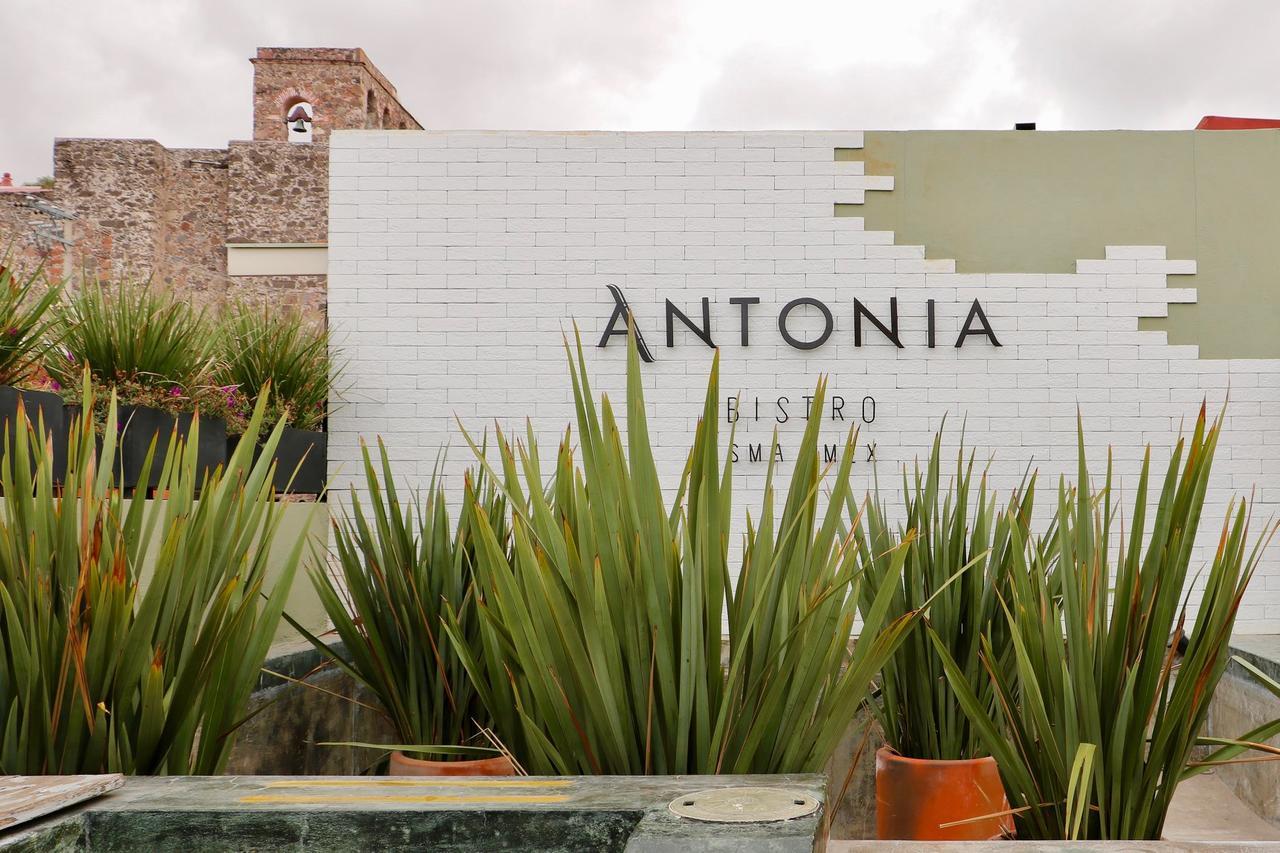 Hotel Boutique El Palomar San Miguel de Allende Extérieur photo